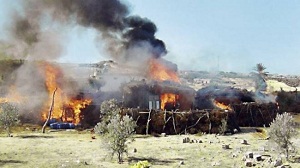 مصر ومحاربة الإرهاب