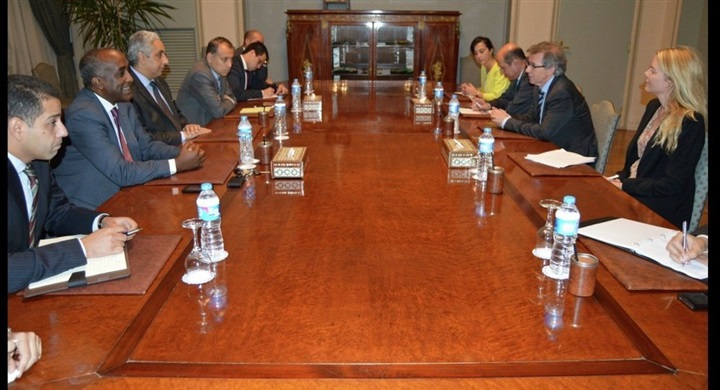 دور مصر في حل الأزمة