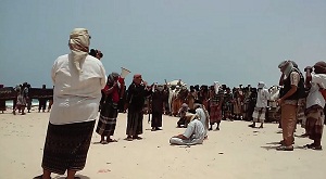 حضور للقاعدة