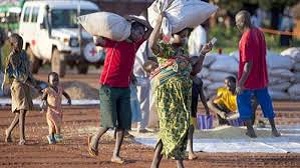 قصة النازحين 