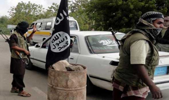 القاعدة تحكم المكلا: