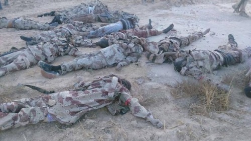 الإرهاب يتراجع في