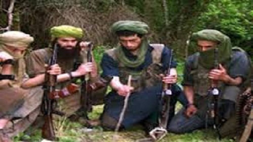 عودة القاعدة مجددًا