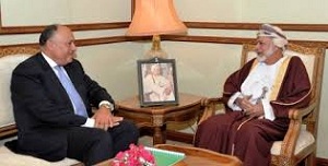 المشهد الإقليمي 