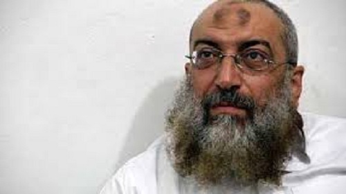 لعبة القط والفأر