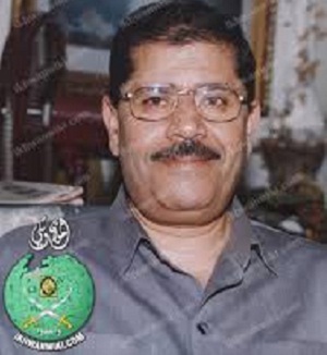 العمل السياسي: