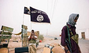 تراجع القاعدة :