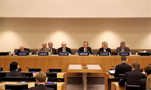 مجموعة الدعم الدولية: