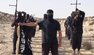 جهات التحقيق تفشل