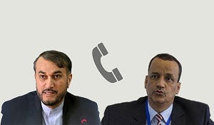 الدور الإيراني: