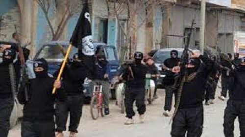 إدارة التوحش