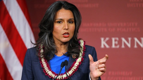 تولسي غابارد النائب