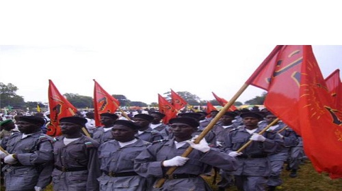 شيعة نيجيريا