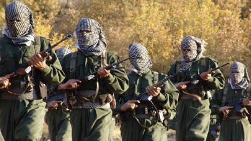 العمال الكردستانى