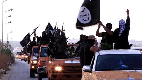 7- التنظيمات المسلحة