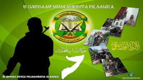 بعد تحذيرات الإفتاء