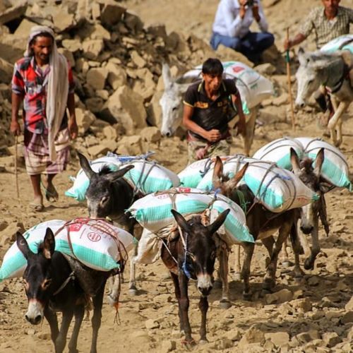 الوضع الإنساني: