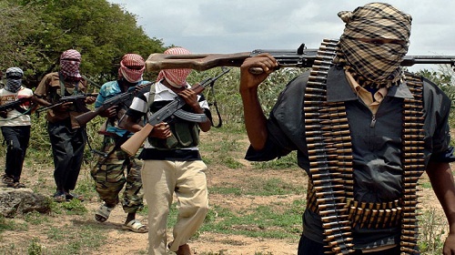 بوكو حرام.. المشهد