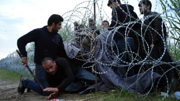 الأسلاك الشائكة لم