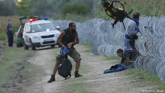 محاولة عبرو الاسلاك