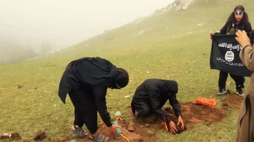 النظام والتحالف مع