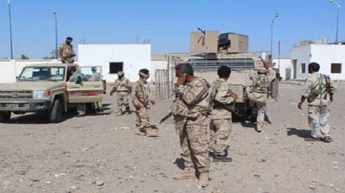 الحرب ضد القاعدة