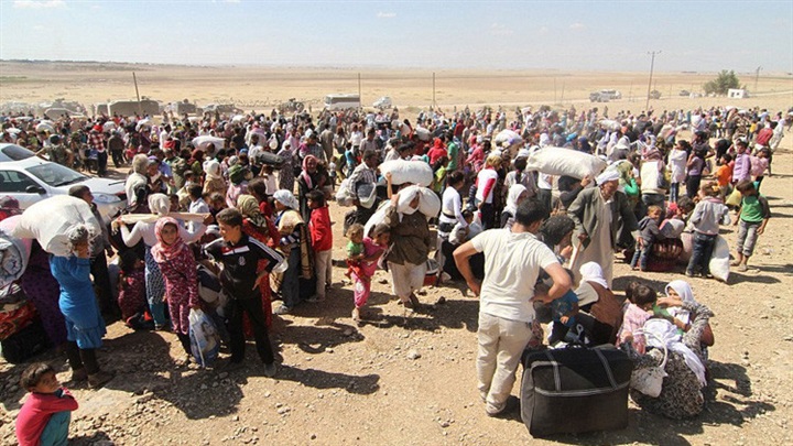 العالقون فى تركيا