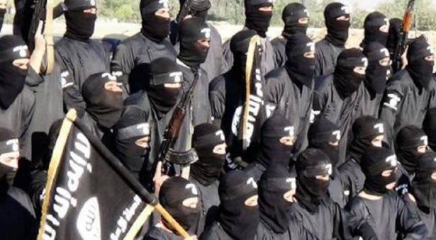 تركيا بين وهم محاربة