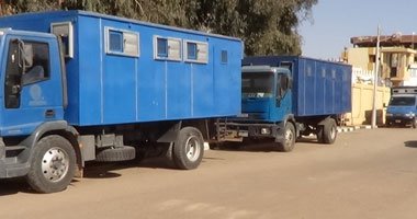 المؤبد لـ187 إخوانيًّا