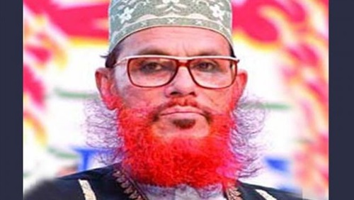 دلوار سعيدي.. نائب