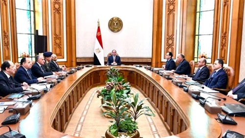 «السيسي» يترأس مجلس
