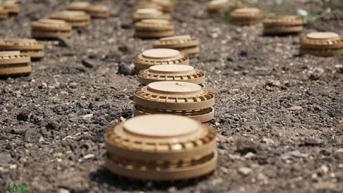 رغم إرهاب الحوثيين