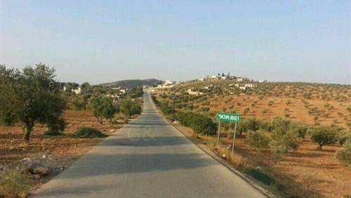 عصابات أردوغان تحقق