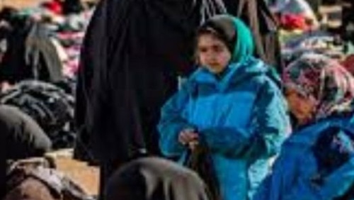 منظمة الأمم المتحدة