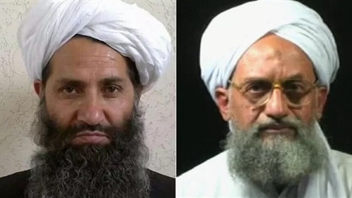 أيمن الظواهري جدد