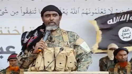 الحكومة الصومالية