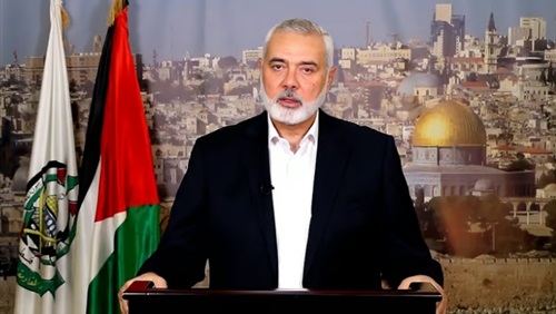 تعليق الخبراء الغربيين