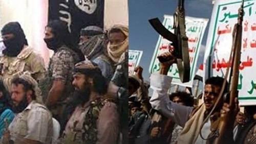 تخادم ميداني منظم..