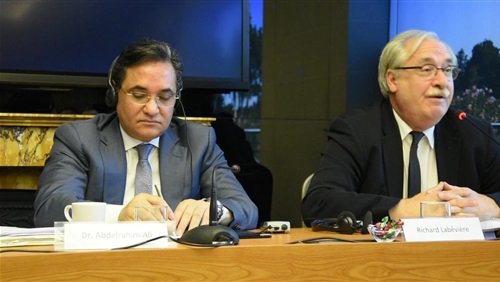 تفكيكُ تنظيمِ الإخوان