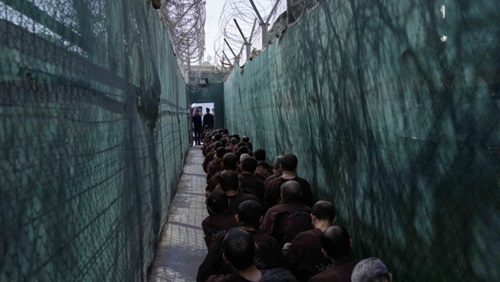 ملف معتقلي داعش بين