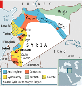 دور السلفيين الجهاديين