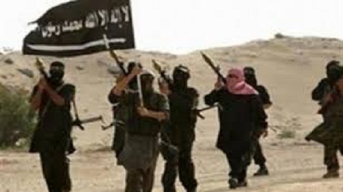 المرتكزات الفكرية: