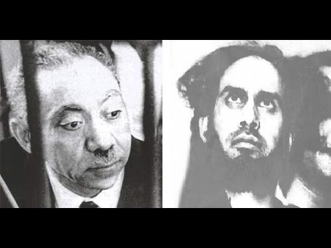 شكري مصطفى أمير جماعة