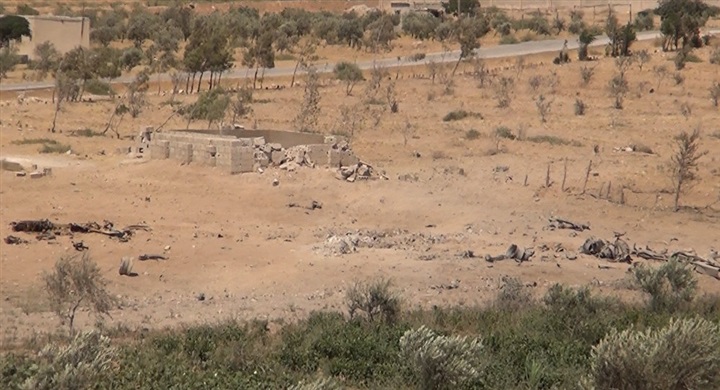 الإرهاب أجبر الفلاح