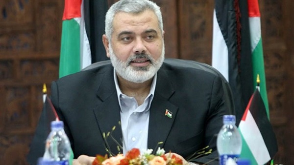 غباء الإخوان يكشف