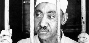 دور مبارك عبد العظيم