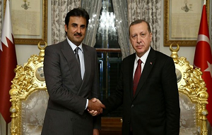 أردوغان يعلن تضامنه