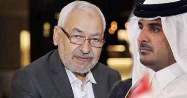 اليوم.. محاكمة 213