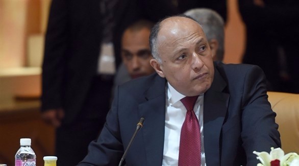 شكري يبحث مع المسؤولين