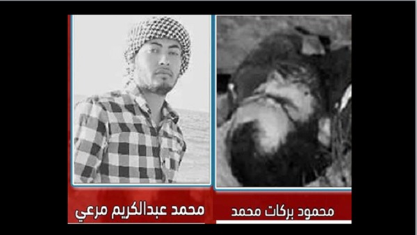 عنصرين لـحسم الإخوانية